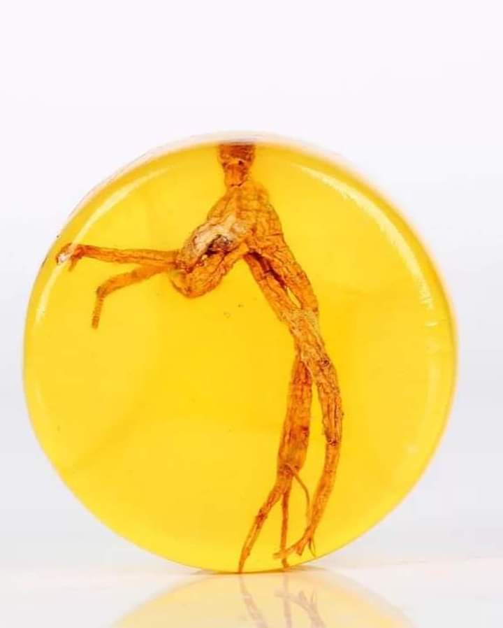 Sophora Gold Soap